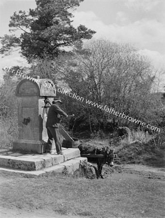 VILLAGE PUMP WITH FARMER, DONKEY AND CART